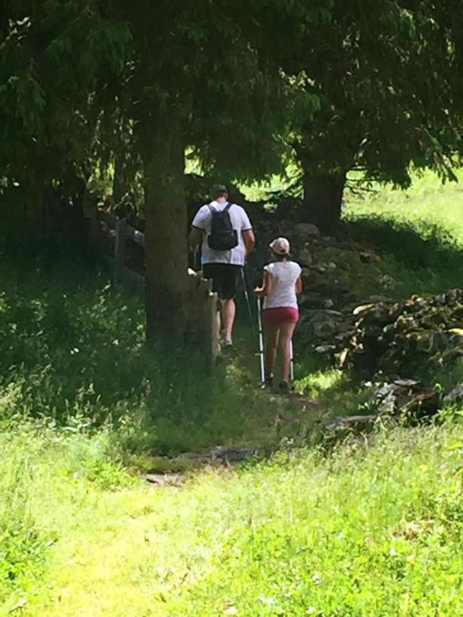Appartamenti Sissi Commezzadura Zewnętrze zdjęcie